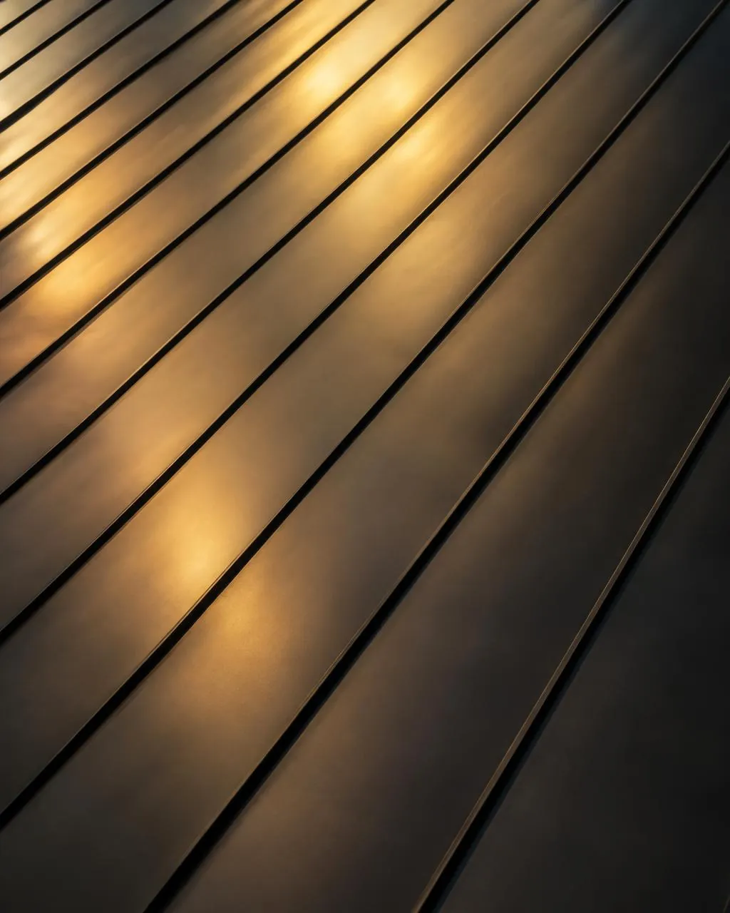 Dark standing-seam metal roof catching light